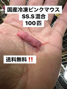  местного производства рефрижератор розовый мышь SS.S смешивание 100 шт Hokkaido, Okinawa и отдаленный остров отправка не возможно 