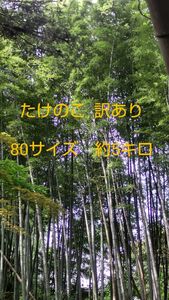 【収穫当日発送】たけのこ 訳あり 約５キロ(リサイクル箱)