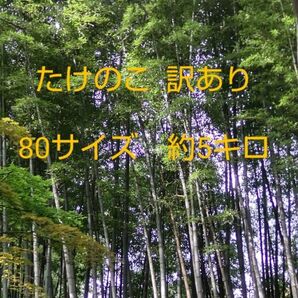 【収穫当日発送】たけのこ 訳あり 約５キロ(リサイクル箱)