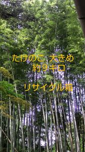 ※訂正【本日分まもなく締切】たけのこ 訳あり 約9キロ(リサイクル箱)