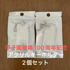 阪神甲子園球場100周年記念アクリルキーホルダー2個セット