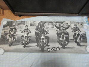 *..../ cool s width length poster approximately 99x37
