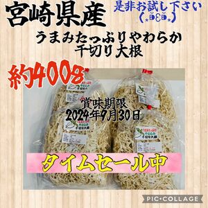 いいね不要　本日のみの価格　リサイクル箱にて発送予定　値下げ× 宮崎県産　やわらか千切り大根　　約400g