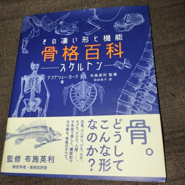 骨格百科　スケルトン　その凄い形と機能 アンドリュー・カーク／著　布施英利／監修　和田侑子／訳