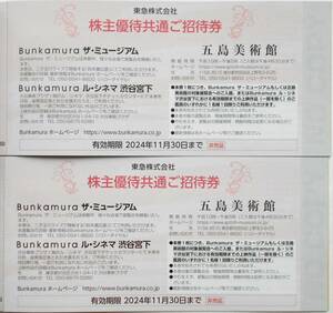 2024年11月まで【送料無料】Bunkamura ザ・ミュージアム　ル・シネマ渋谷宮下＆五島美術館☆招待券2枚セット☆鈴木康広展d