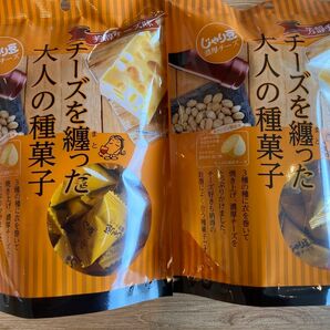 2袋！　じゃり豆チーズを纏った大人の種菓子濃厚チーズ トーノー