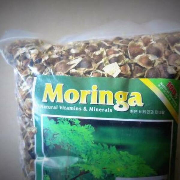 送料無 ５㎏ モリンガ オーガニック種　Moringa 天然マルチビタミン　アミノ酸