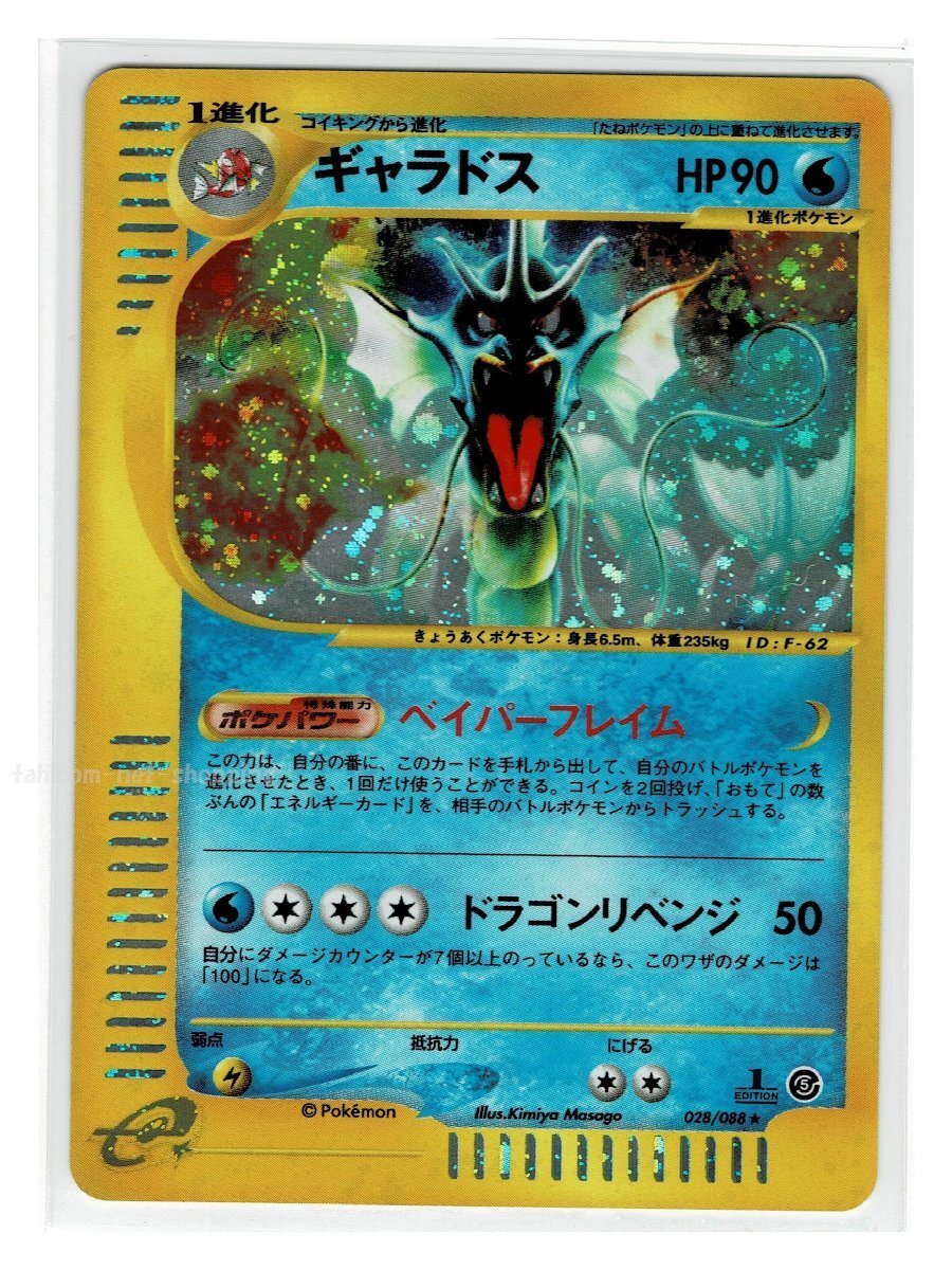 2025年最新】Yahoo!オークション -ポケモンカード e ギャラドス 2025年最新】Yahoo!オークション -ポケモンカード e ギャラドス