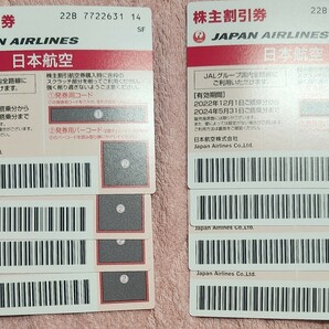 JAL 日本航空 株主優待 株主割引 8枚 の画像1