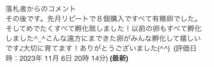 姫ウズラ　ヒメウズラ　食用有精卵　5個　今だけ値下げ中！　おまけ増量中！更に白姫付き_画像7