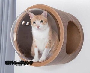 天然木 宇宙 キャットウォーク 猫 キャットステップ ベッド ハウス 壁付け