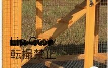 高品質 鶏小屋 屋外 庭用 鳥かご ニワトリ屋 アヒル 鳥かご ペット ニワトリかご トリ小屋 別墅 ウサギの巣 ペット用品_画像7