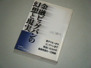 金融ビッグバンの幻想と現実　山口義行・著