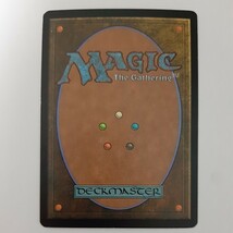 FOIL 火葬 DKM 英語版 MTG_画像2