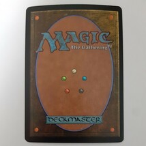 FOIL 自然の類似 8ED 英語版 MTG_画像2