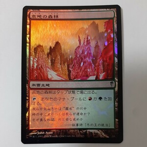 FOIL 高地の森林 CSP 日本語版 MTG