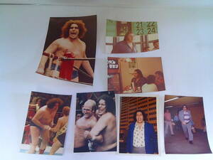 w26[ Professional Wrestling life photograph 14 листов ][ Andre Zazie . Ian to комплект ] Халк Hogan 