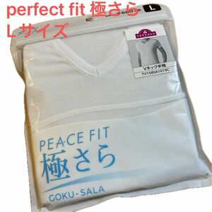 perfect fit 極さら　Vネック Tシャツ