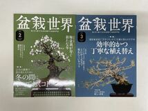 盆栽書籍15冊セット ◆盆栽世界 近代盆栽 小品盆栽36種徹底紹介 日本盆栽大観展_画像5