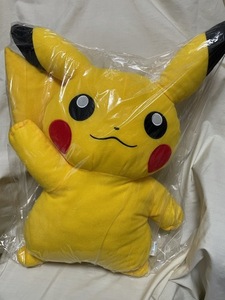 ◎ POKEMON ポケモン POKET MONSTERS ポケットモンスター Pokemon Center ポケモンセンター PIKACHU ピカチュウ ぬいぐるみ 現状品