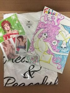 ◎ コミケ 叶姉妹　同人誌＋Tシャツセット