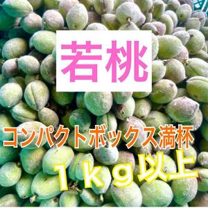 wk34 山梨県産　若桃　桃　コンパクトボックス満杯　1kg以上