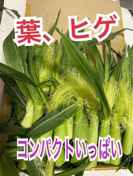 y118 山梨県産　コンパクト満杯　ヤングコーンのヒゲ、葉　野菜　とうもろこし