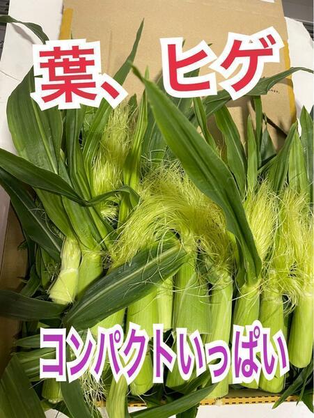 y120山梨県産　コンパクト満杯　ヤングコーンのヒゲ、葉　野菜　とうもろこし