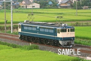 EF65 1102 東北本線【鉄道写真65004】KGサイズ☆