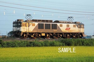 EF64 1038【鉄道写真64001】KGサイズ☆