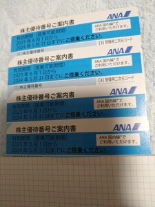 即決 4枚セット ANA 株主優待券 2024年5月31日まで 期限間近 全日空