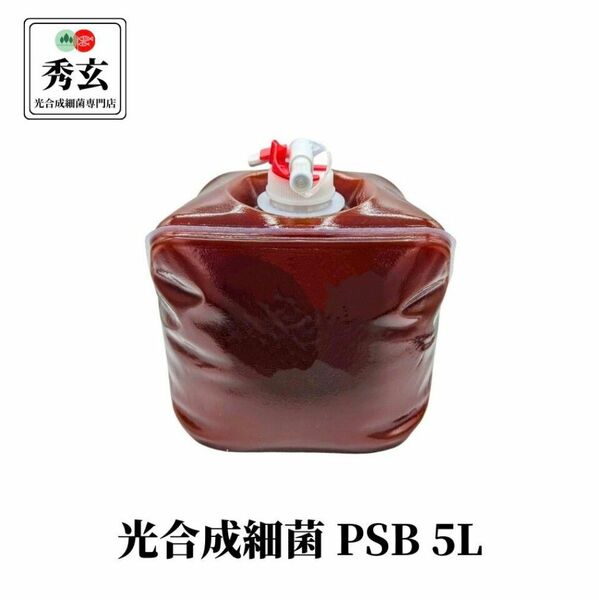 秀玄 光合成細菌 PSB 原液 5リットル