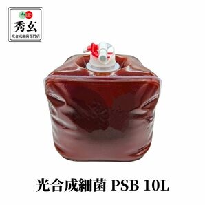 秀玄 光合成細菌 PSB 原液 10リットル