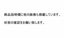 ■鈴木 英人作■星野 仙一シリーズ■「英 傑」■限定300部／112■リトグラフ■阪神タイガース■兵庫県発■_画像10