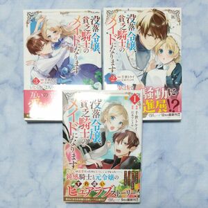 没落令嬢、貧乏騎士のメイドになります1巻〜3巻