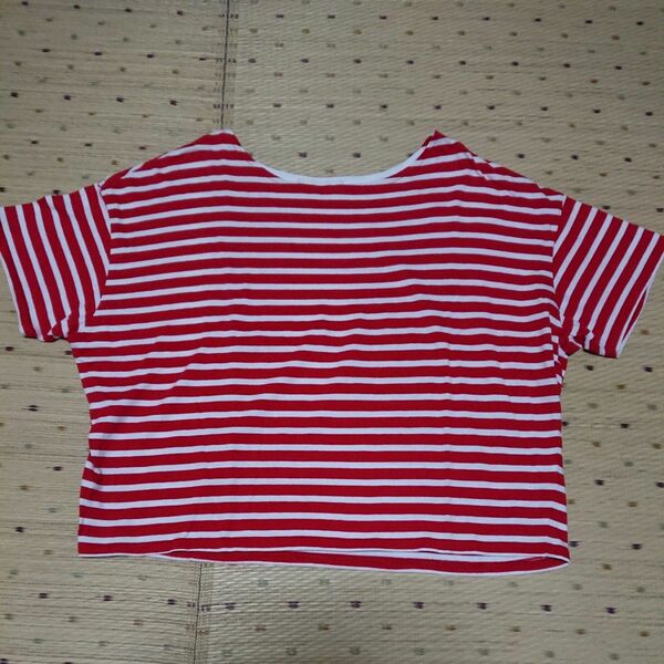 Discoat 半袖ボーダーTシャツ赤×白 ショート丈カットソー