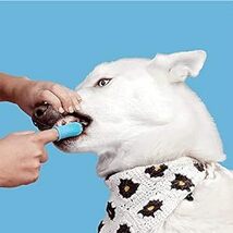 BTtime ペットフィンガー歯ブラシ シリコン 指サック 4個セット 360°歯ブラシ シリコン犬の歯ブラシ指ブラシ 猫犬通用（_画像6