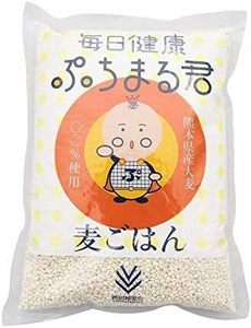 熊本県産 1kg ぷちまる君 毎日健康 大麦 1キログラムx1