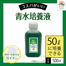 【青水グリーンウォーター培養液（500ml）50L培養分】メダカめだか金魚錦鯉らんちゅうミジンコゾウリムシクロレラPSBミドリムシなどに_画像1