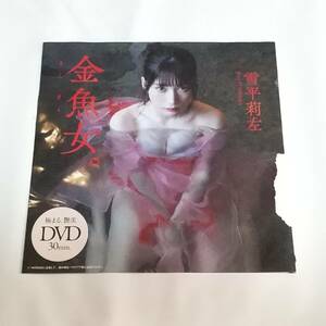 未開封　付録　DVD　雪平莉左　プレイボーイ　3