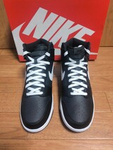 DUNK HIGH "BLACK PANDA" DJ6189-001 （アンスラサイト/ブラック/ホワイト) 27.5cm_画像2