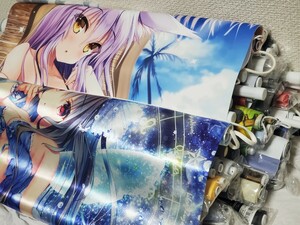 *100 jpy ~0 tapestry [56ps.@] set sale 120 size charge .. that ... san .. feather .... goods komike same person beautiful young lady bikini 