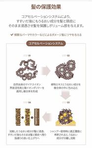 アトミ植物性髪ヘアシャンプー26年1月まで2本セット新品atom美 洗髪用　送料込新品