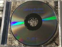 国内盤CD/AOR/マイケル・フランクス/ウォッチング・ザ・スノウ ●プロデュース:チャールズ・ブレンジング　送料¥180_画像7