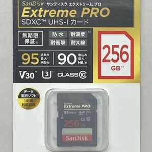 送料無料 未開封 SanDisk サンディスク SDXCカード Extreme PRO エクストリームプロ class10 256GB SDSDXXG-256G-JNJIP