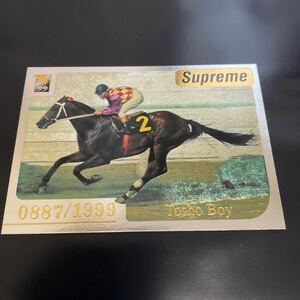 トウショウボーイ　サラブレッドカード 1999年下半期　Supreme