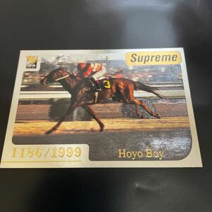  howe you Boy Thoroughbred Card 1999 year under half period Supreme