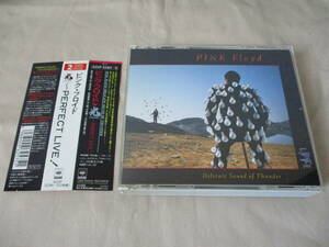 PINK FLOYD Delicate Sound Of Thunder(光-Perfect Live!) ‘88 国内帯付初回盤 ライヴ ２枚組 全１５曲　