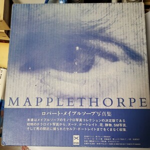 ロバート ・メイプルソープ 写真集 アップリンク UPLINK MAPPLETHORPE アーサー・C・ダント