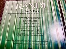 KANDI キャンディ　国内プロモ　特製CD 6曲 2000年 special sampler japan promo only 非売品 XDCS93418 AOR_画像4